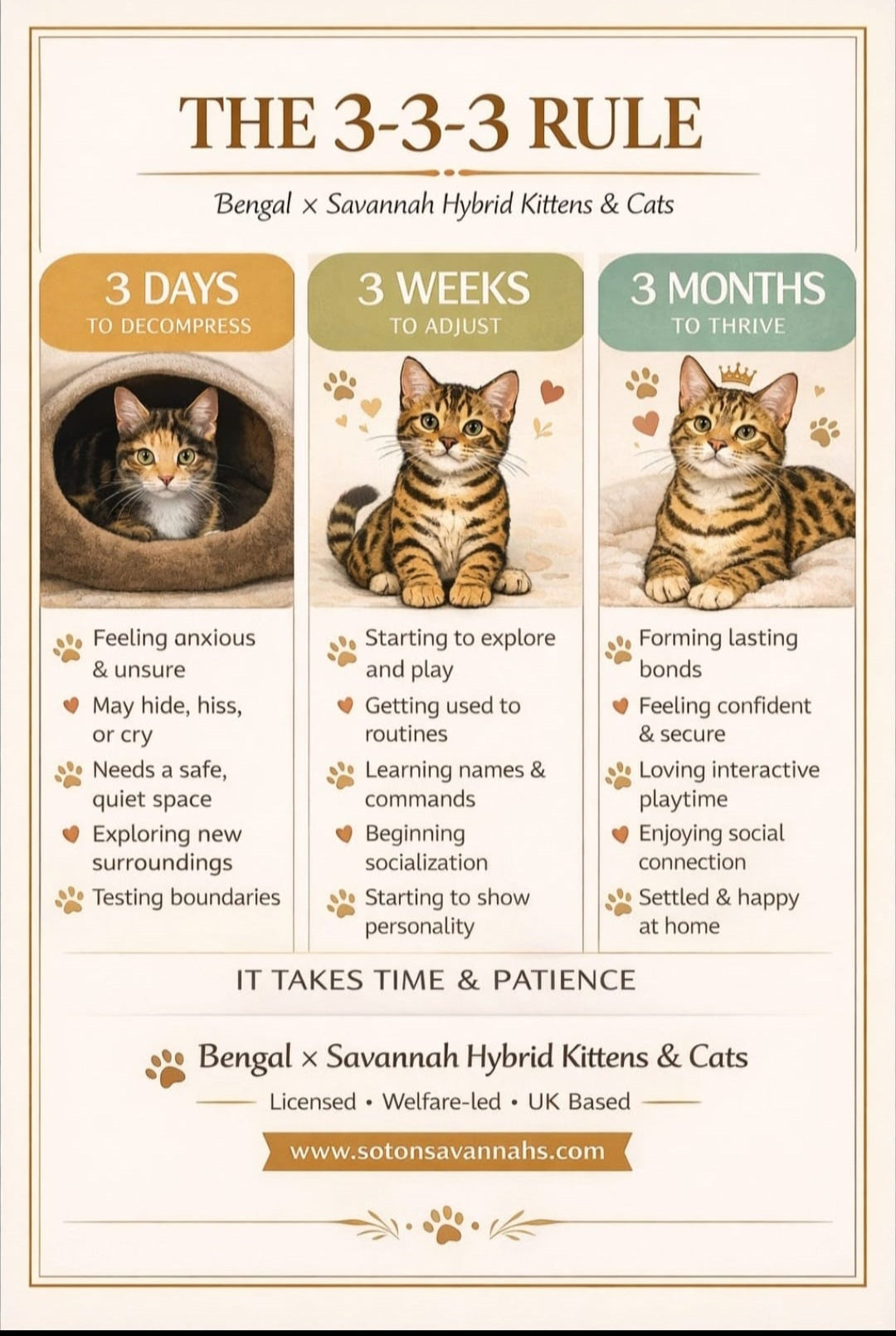 3-3-3 Rule for Cats | Helping Your New Cat Settle In