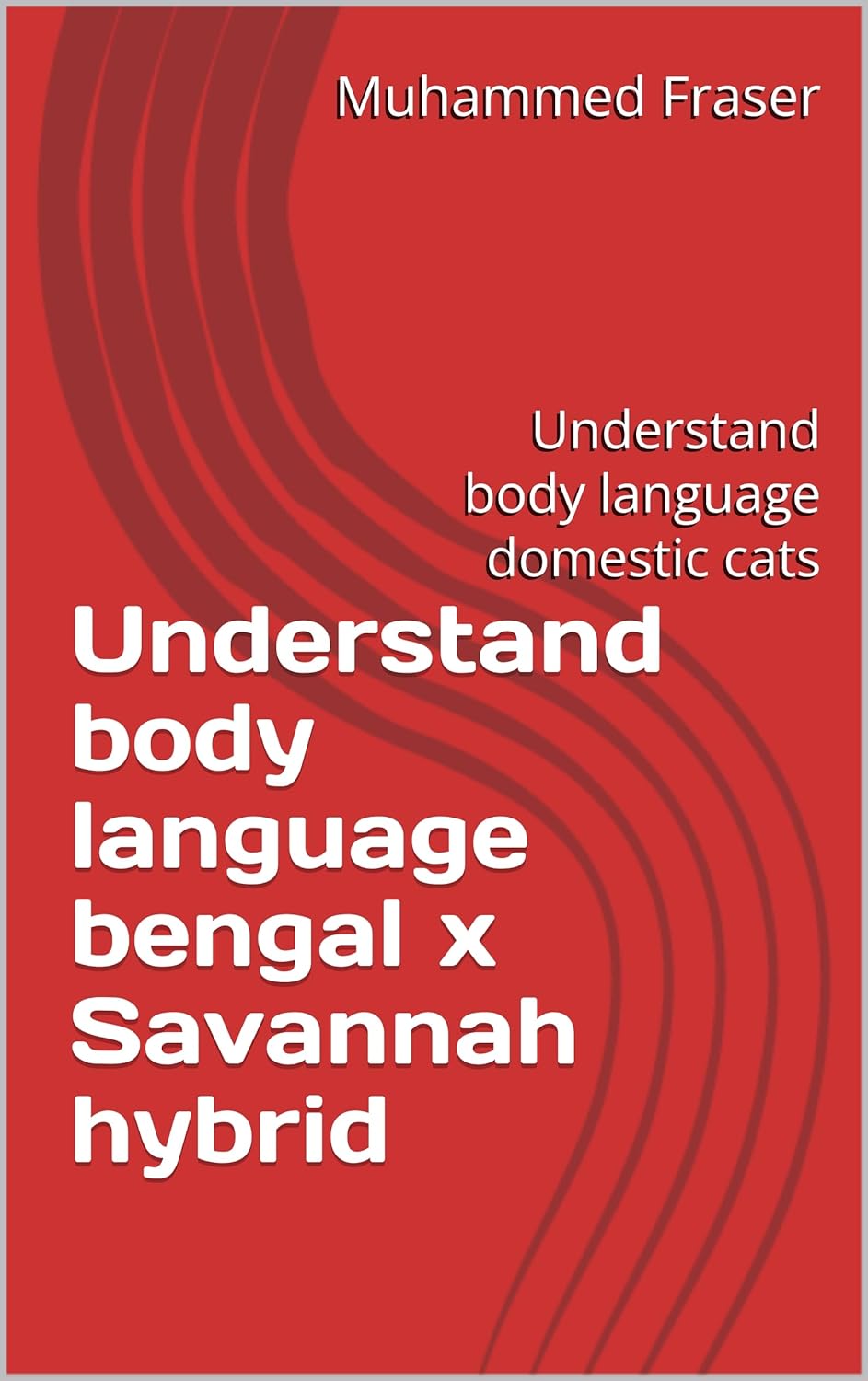 Understand body language bengal x Savannah hybrid : Understand body language domestic cats