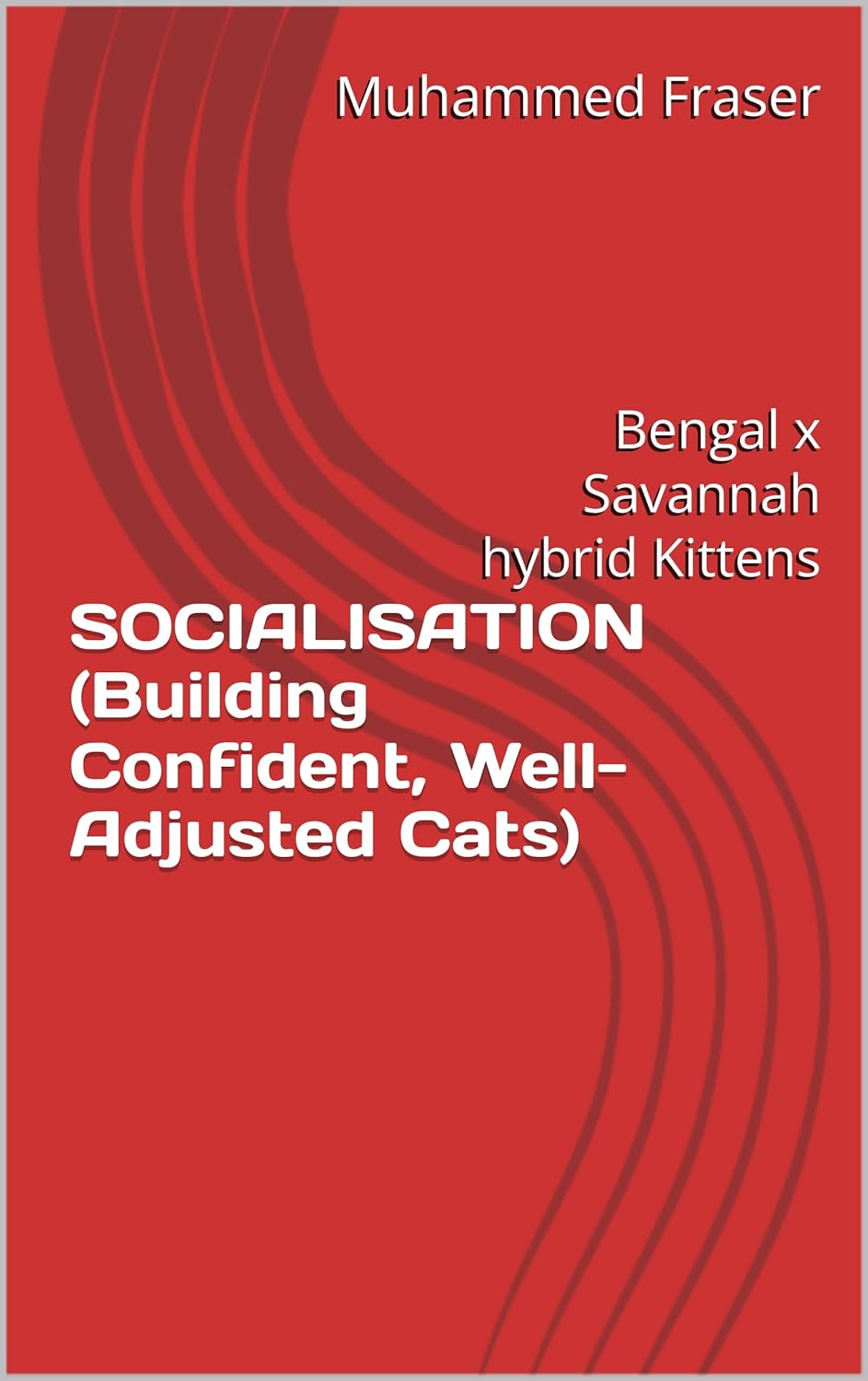 SOCIALISATION (Building Confident, Well-Adjusted Cats) : Bengal x Savannah hybrid Kittens