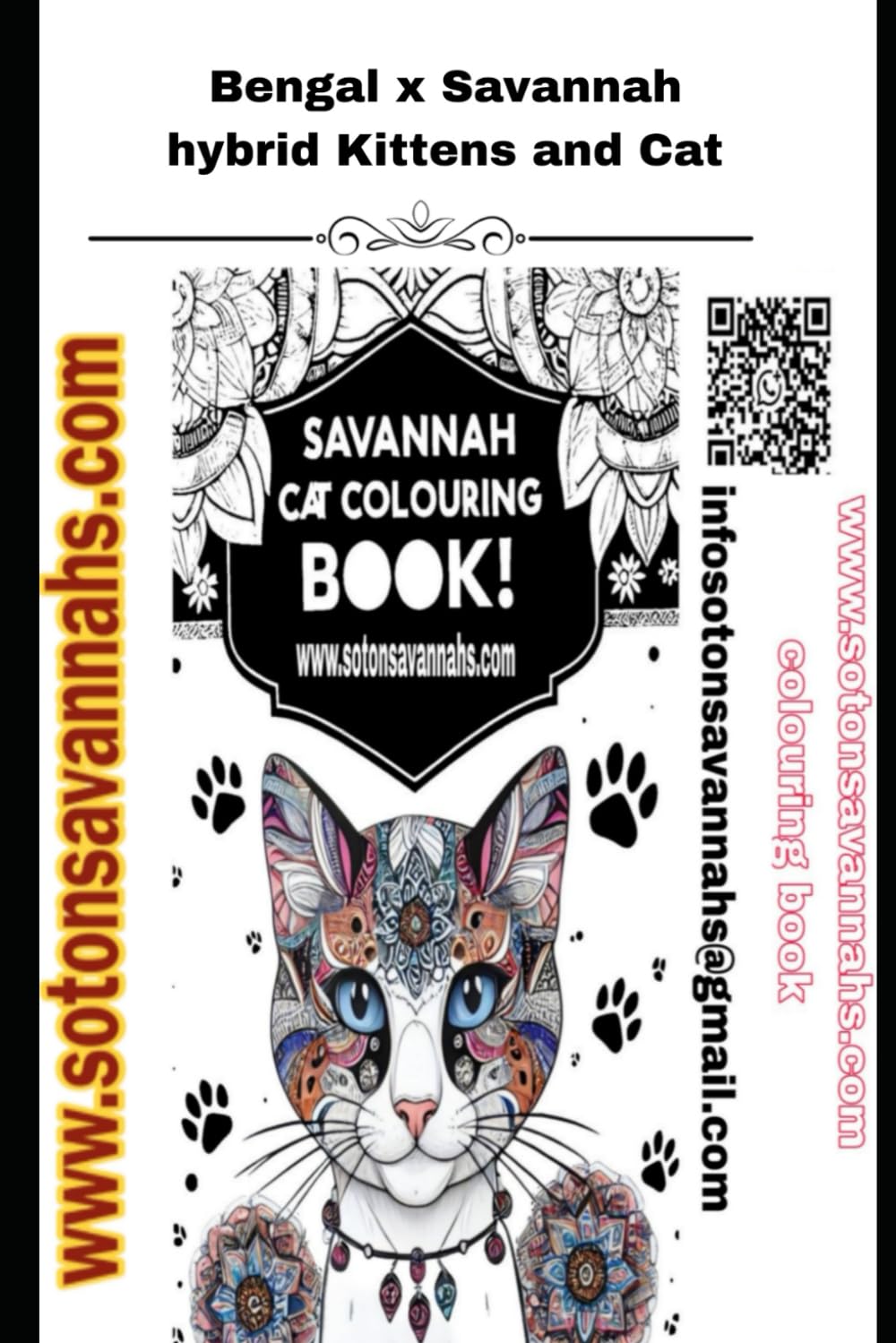 Colouring book Bengal x Savannah hybrid cats: Domestic cats