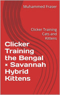 Clicker Training the Bengal × Savannah Hybrid Kittens: Clicker Training Cats and Kittens